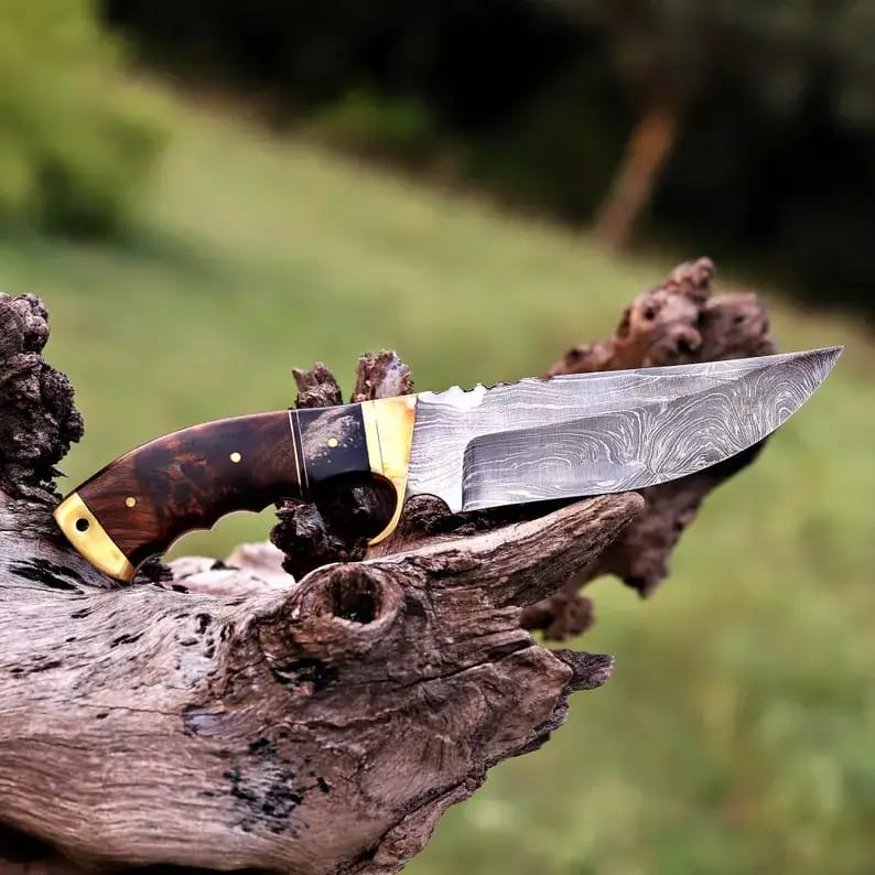Damascus Hunting Knife with Brass Bolster, Burl Wood & Black Handle and Leather Sheath - view 7